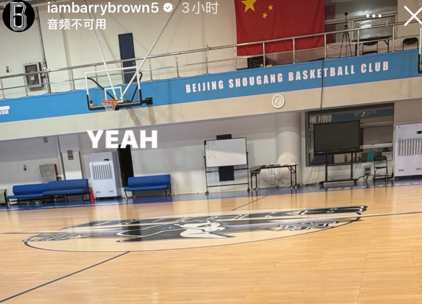 bw西汉姆联案例展示